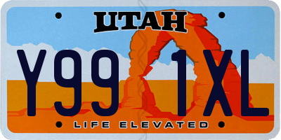 UT license plate Y991XL