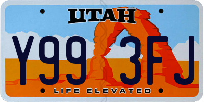 UT license plate Y993FJ