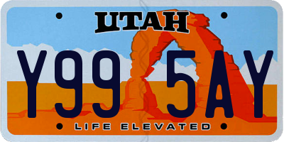 UT license plate Y995AY