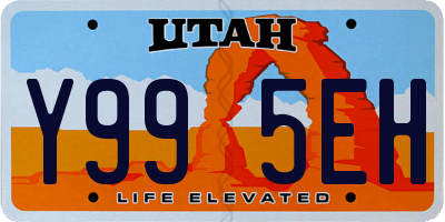 UT license plate Y995EH