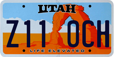 UT license plate Z110CH