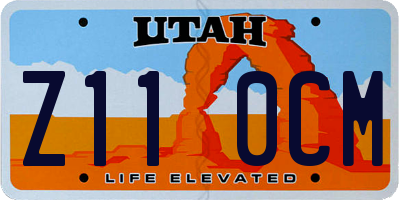 UT license plate Z110CM