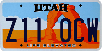 UT license plate Z110CW