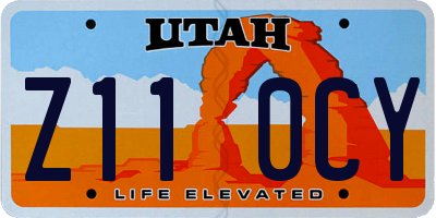 UT license plate Z110CY