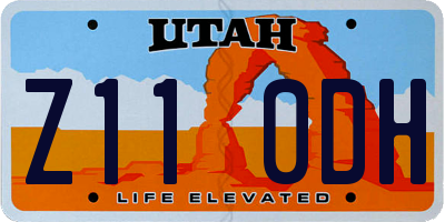 UT license plate Z110DH