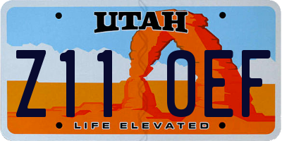 UT license plate Z110EF