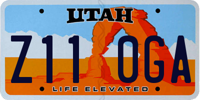 UT license plate Z110GA