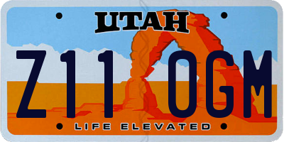 UT license plate Z110GM