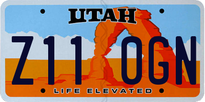 UT license plate Z110GN