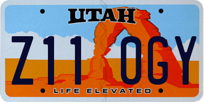 UT license plate Z110GY