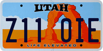 UT license plate Z110IE