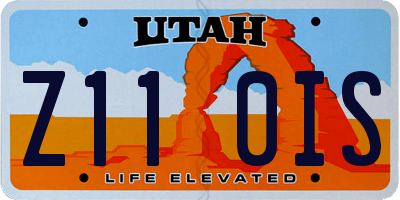 UT license plate Z110IS