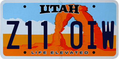 UT license plate Z110IW