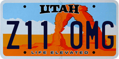 UT license plate Z110MG