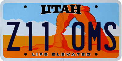 UT license plate Z110MS