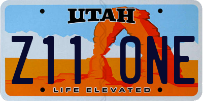 UT license plate Z110NE