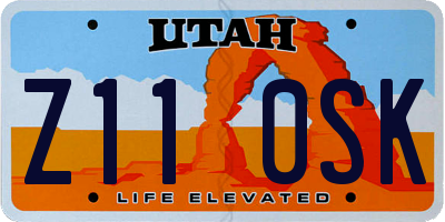 UT license plate Z110SK