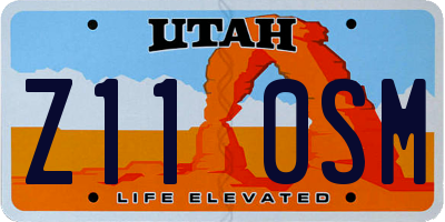 UT license plate Z110SM