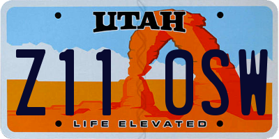 UT license plate Z110SW