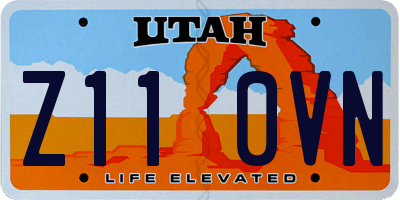 UT license plate Z110VN