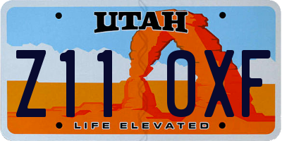 UT license plate Z110XF