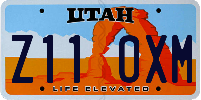 UT license plate Z110XM