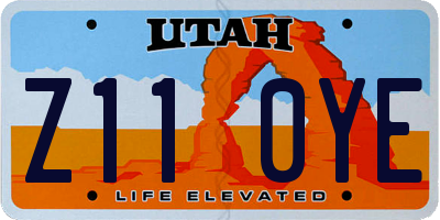 UT license plate Z110YE