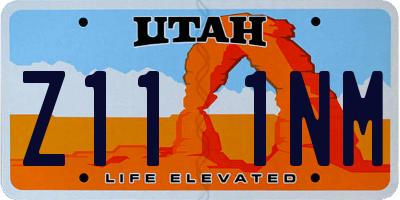 UT license plate Z111NM
