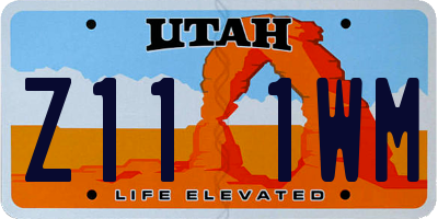 UT license plate Z111WM