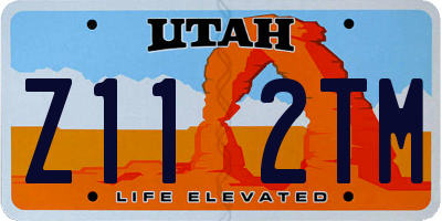 UT license plate Z112TM