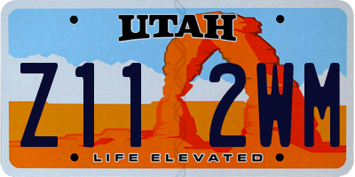 UT license plate Z112WM