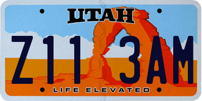 UT license plate Z113AM