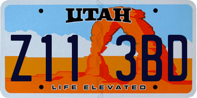 UT license plate Z113BD
