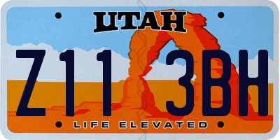 UT license plate Z113BH