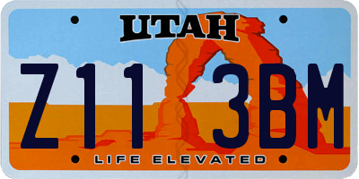 UT license plate Z113BM