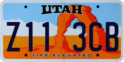 UT license plate Z113CB