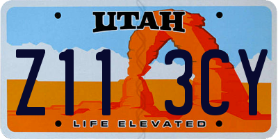 UT license plate Z113CY
