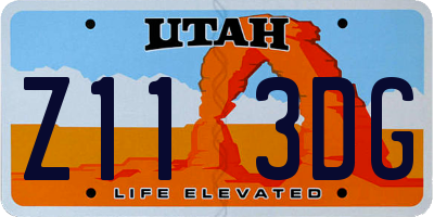 UT license plate Z113DG