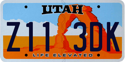 UT license plate Z113DK