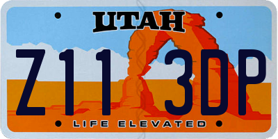 UT license plate Z113DP