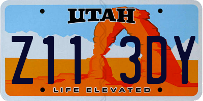 UT license plate Z113DY