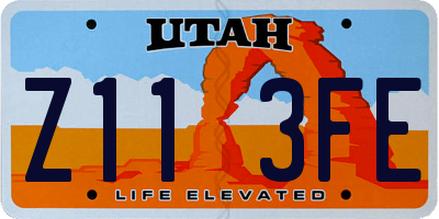 UT license plate Z113FE