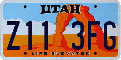 UT license plate Z113FG