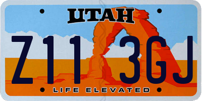 UT license plate Z113GJ