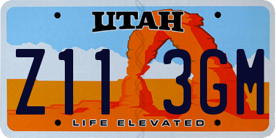 UT license plate Z113GM