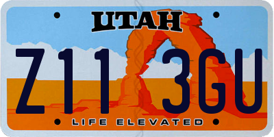 UT license plate Z113GU