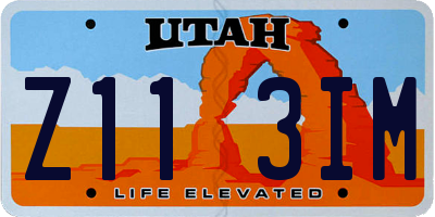UT license plate Z113IM