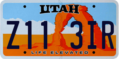 UT license plate Z113IR