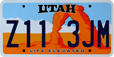 UT license plate Z113JM