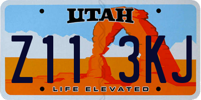 UT license plate Z113KJ